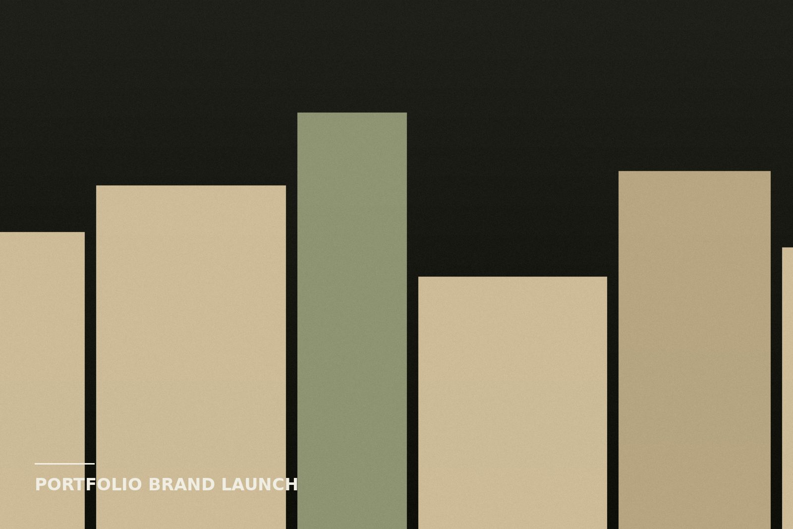 Brand launch campaign project